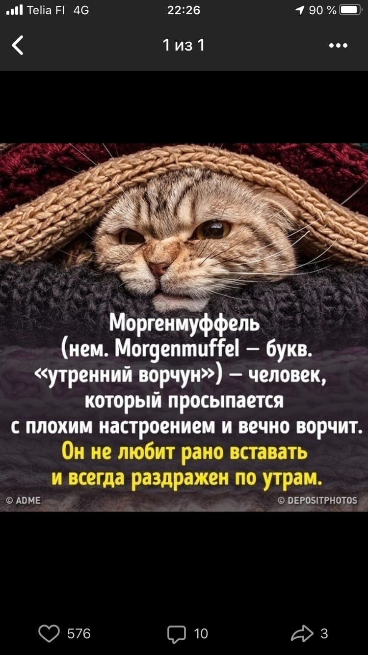 Моргенмуффель утренний Ворчун