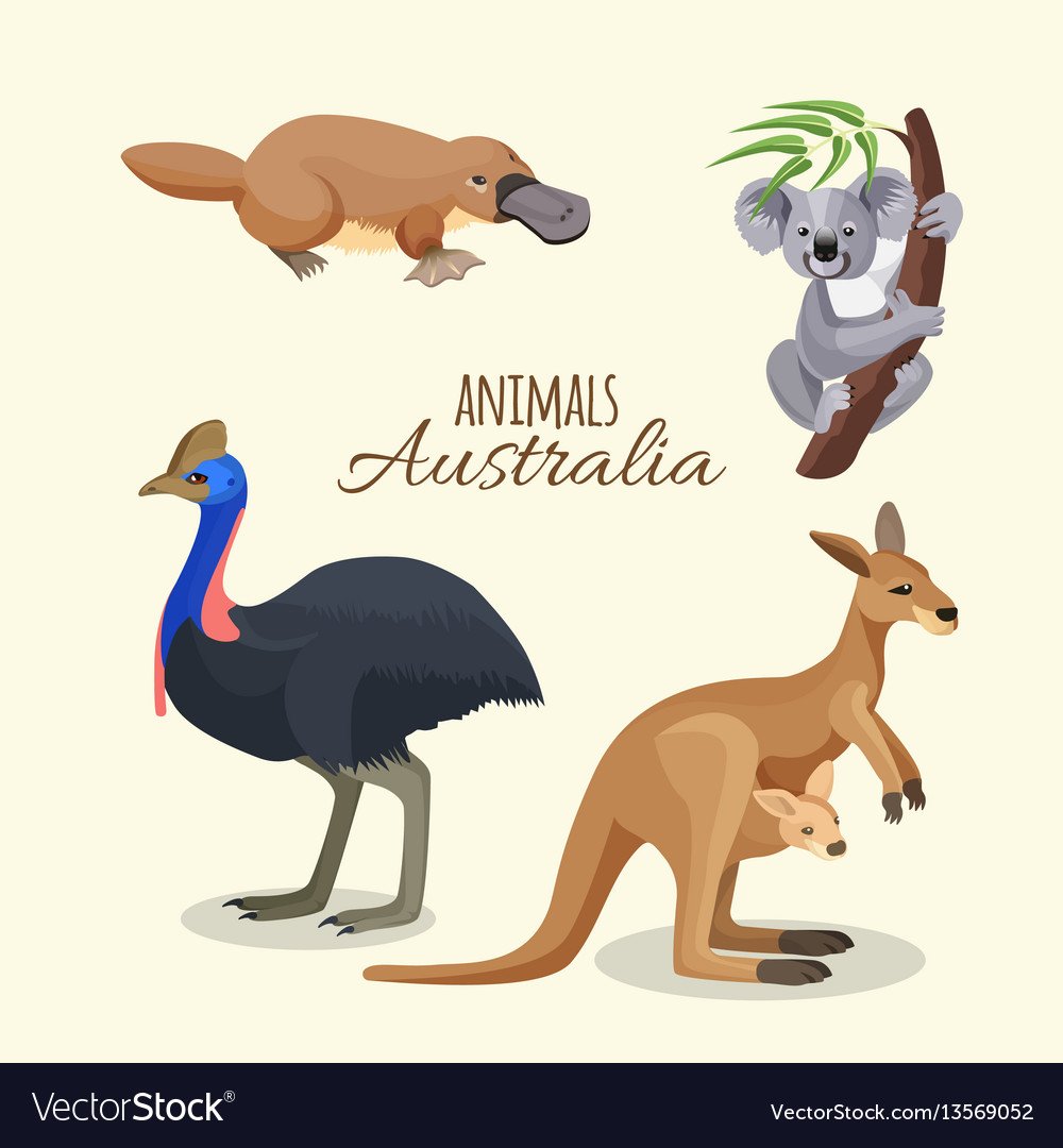 Плакат. Животные Австралии