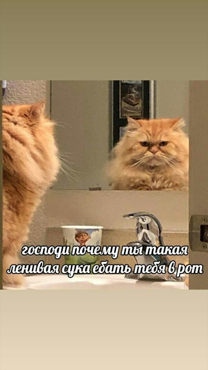 Картинка с моргенмюффелем