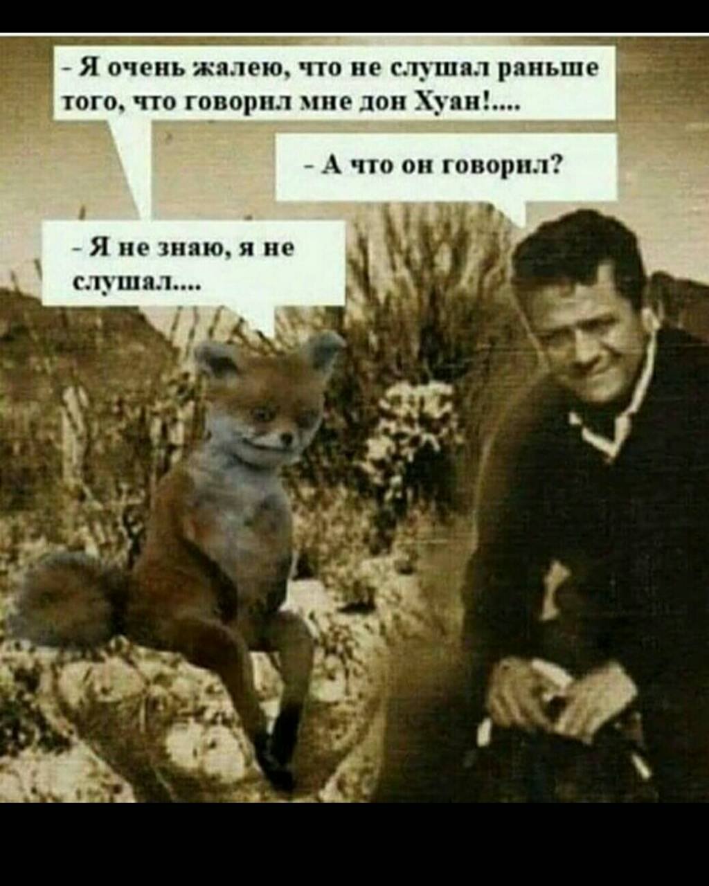 Степан негур тату коты
