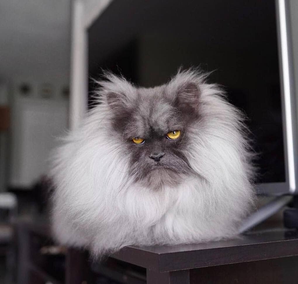 Гном Ворчун из Белоснежки