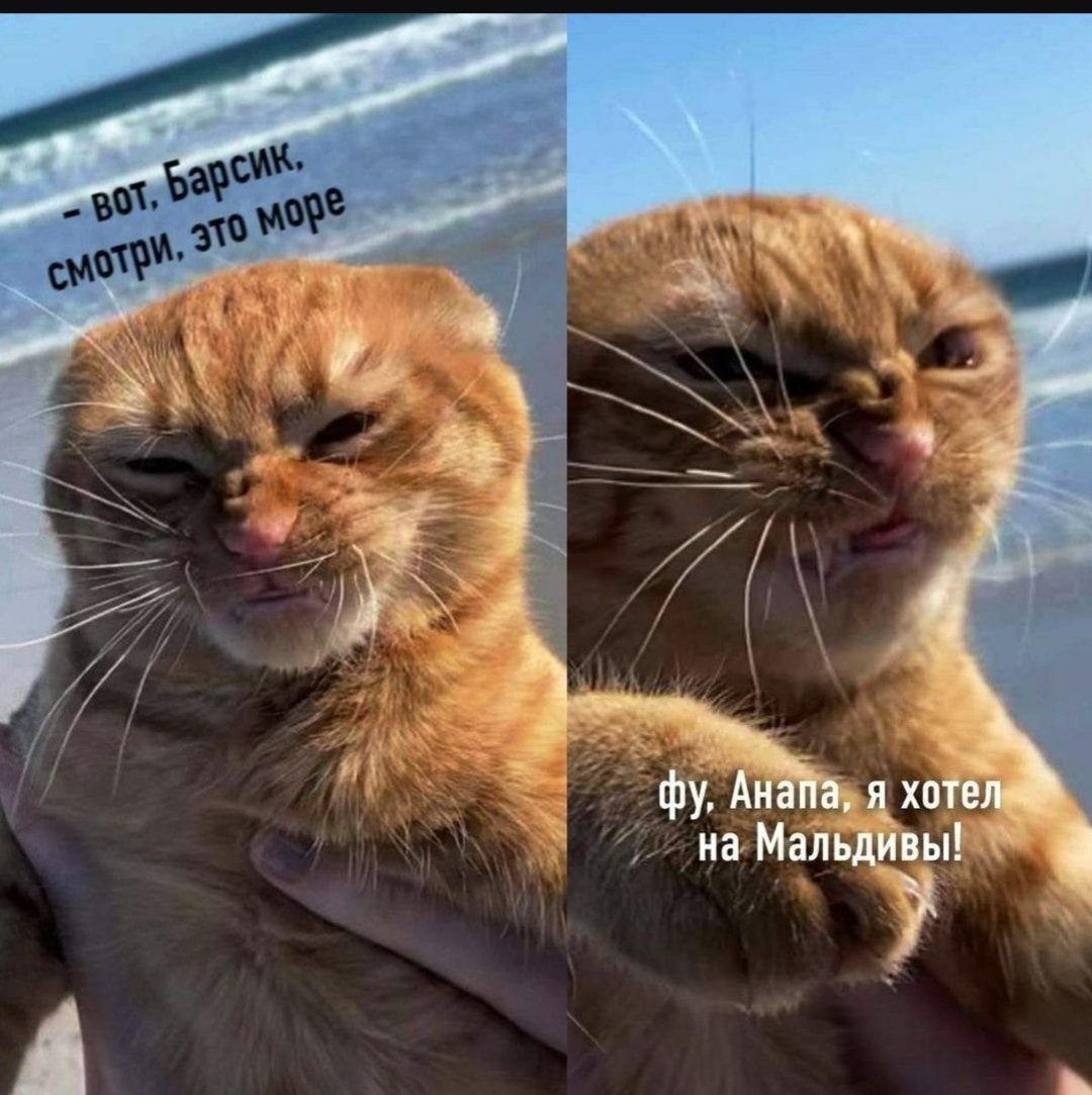 Моргенмуффель антипод