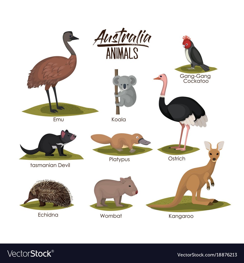 Животные Австралии на прозрачном фоне