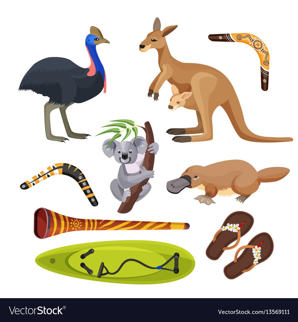 Кенгуру, животные