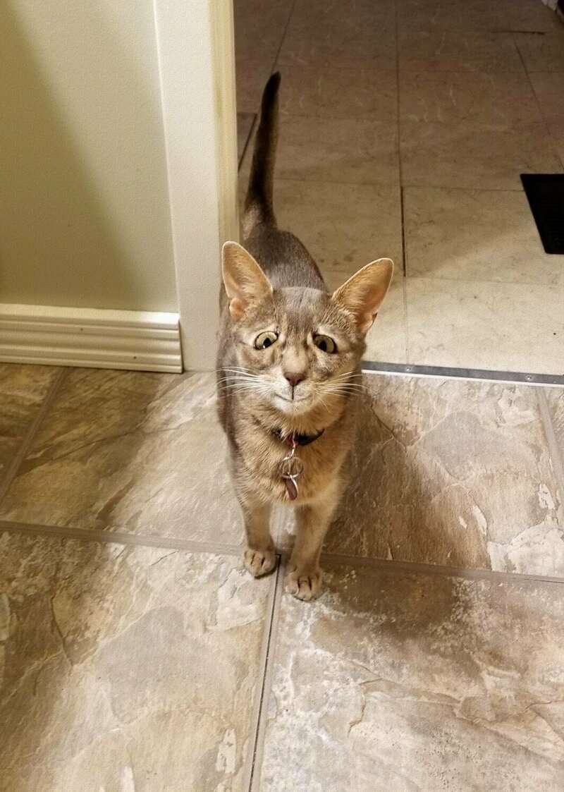 Как бы не было тяжело