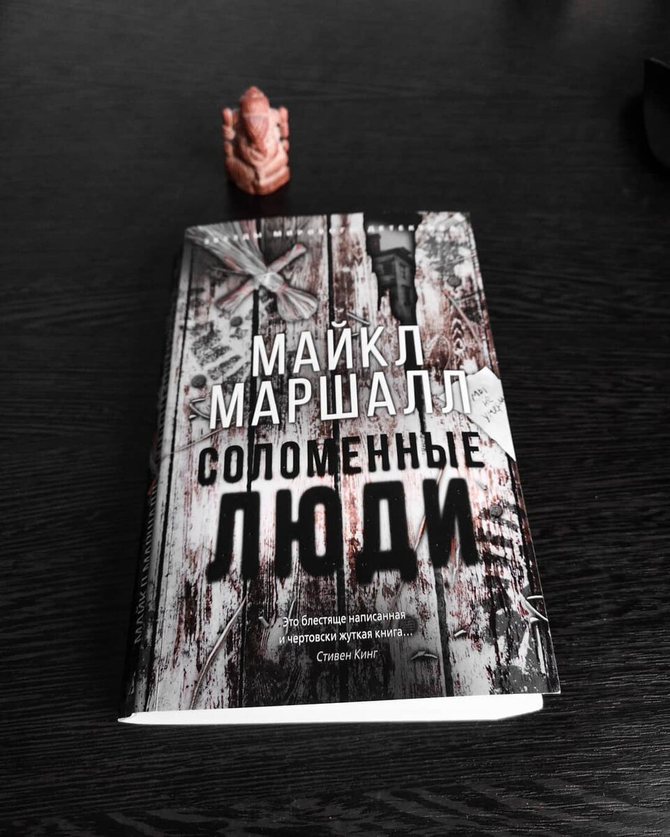 Енотовидная собака прикинулась нормальной