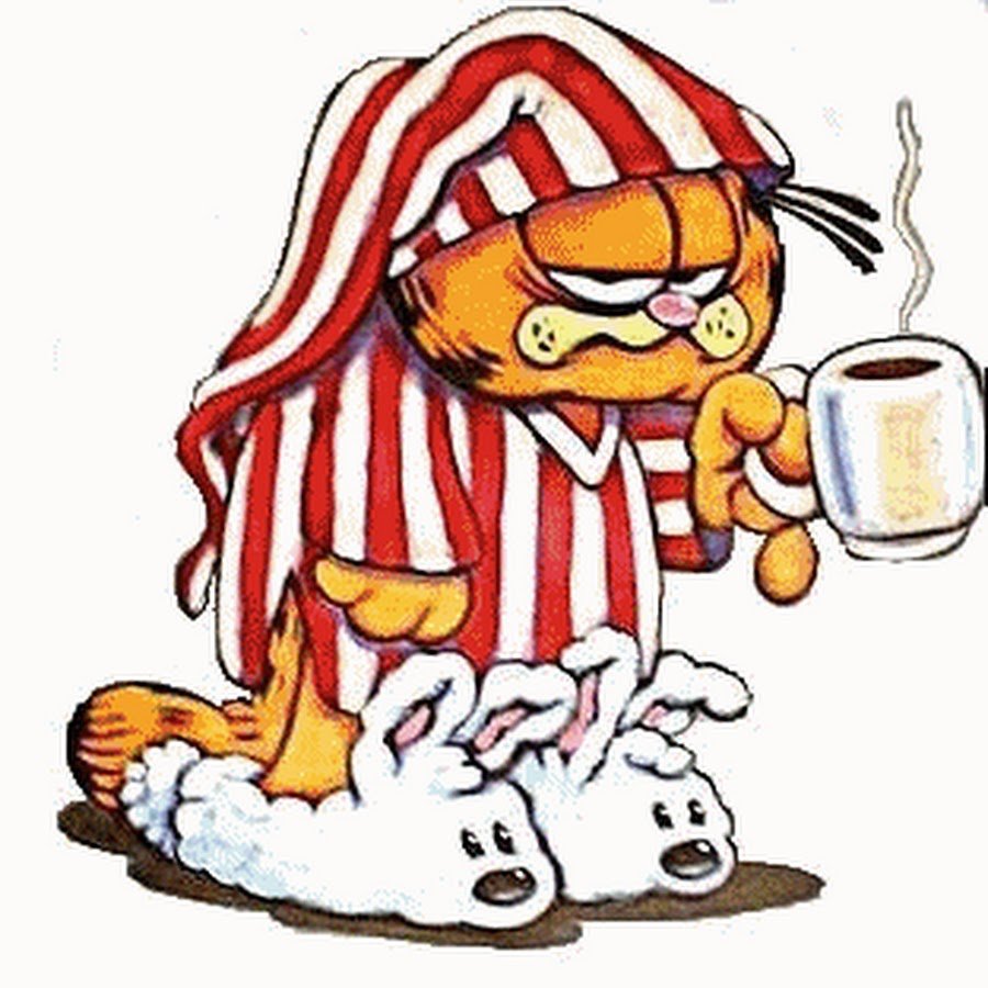 Персидская длинношерстная кошка Джуно