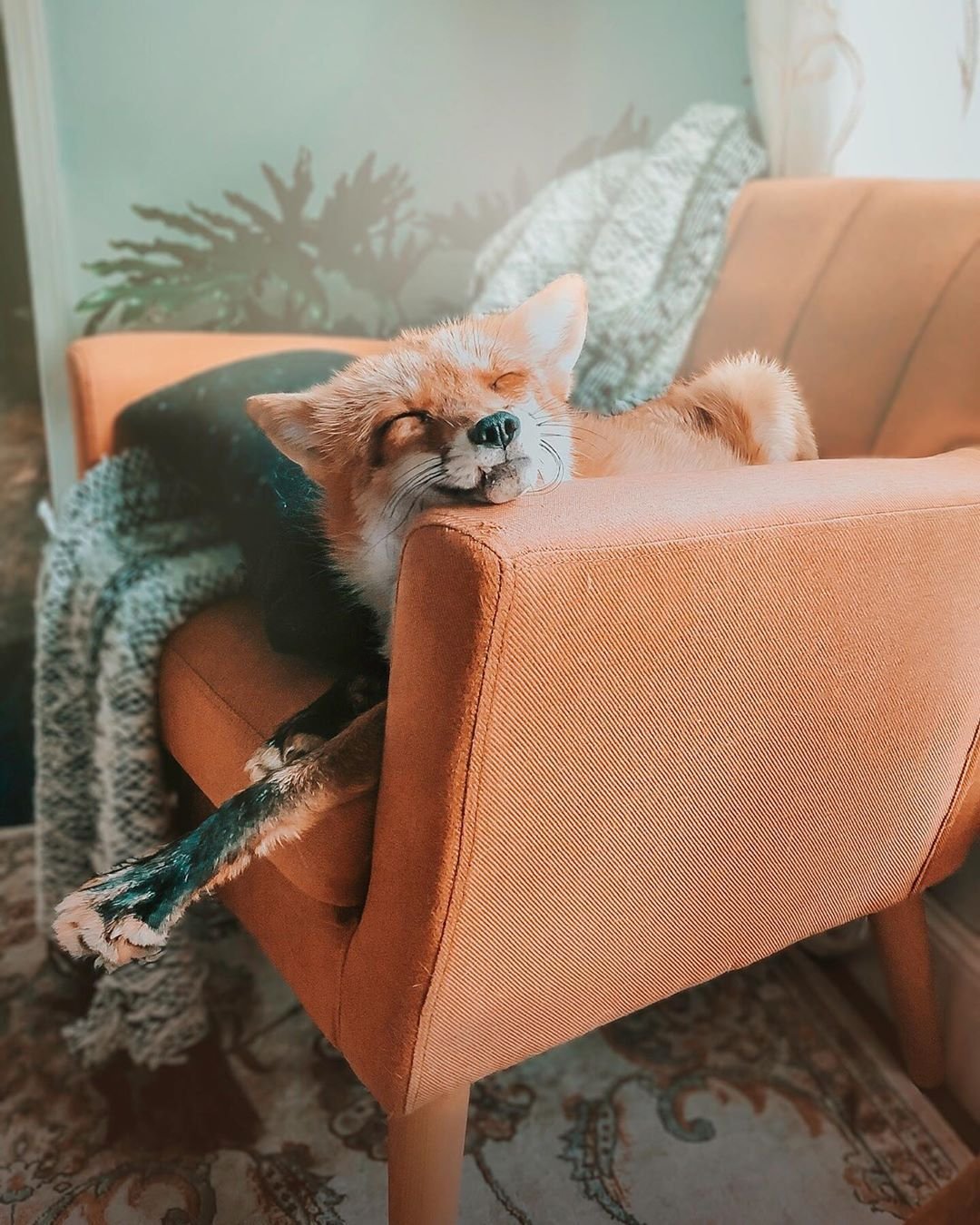 FFXIV male au ra арт