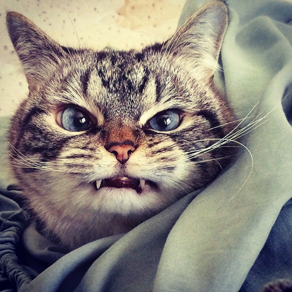 Не доброе утро