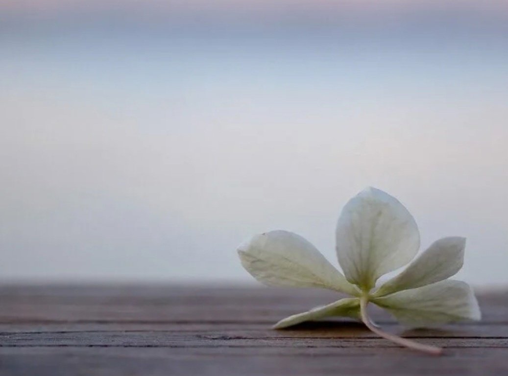 Гармония и умиротворение