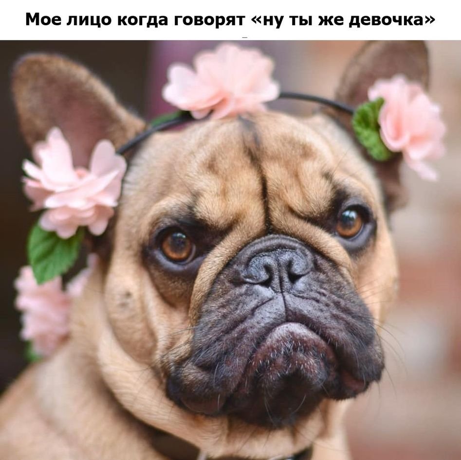 Шпага с орнаментом