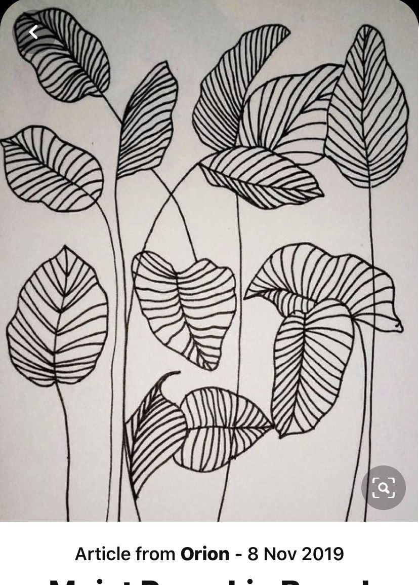 Стилизация растений