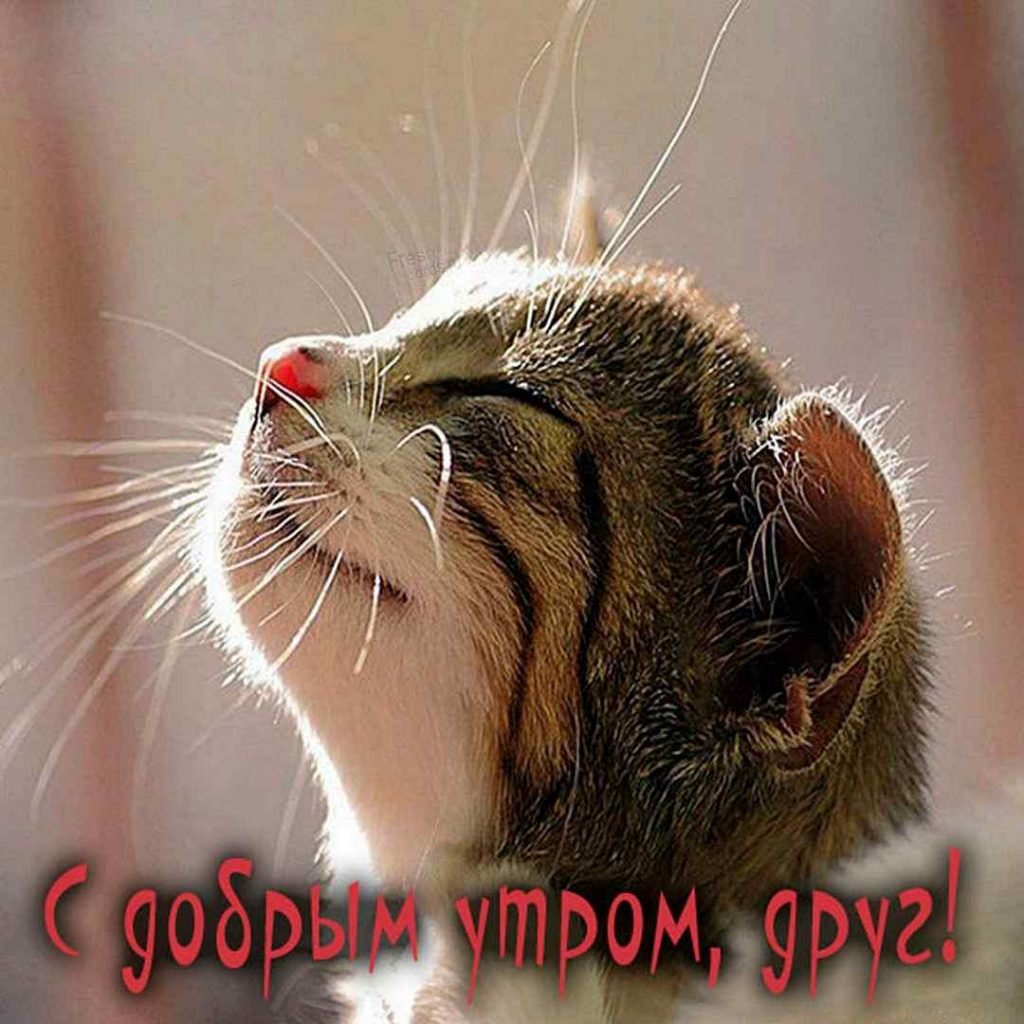 Ура лето каникулы