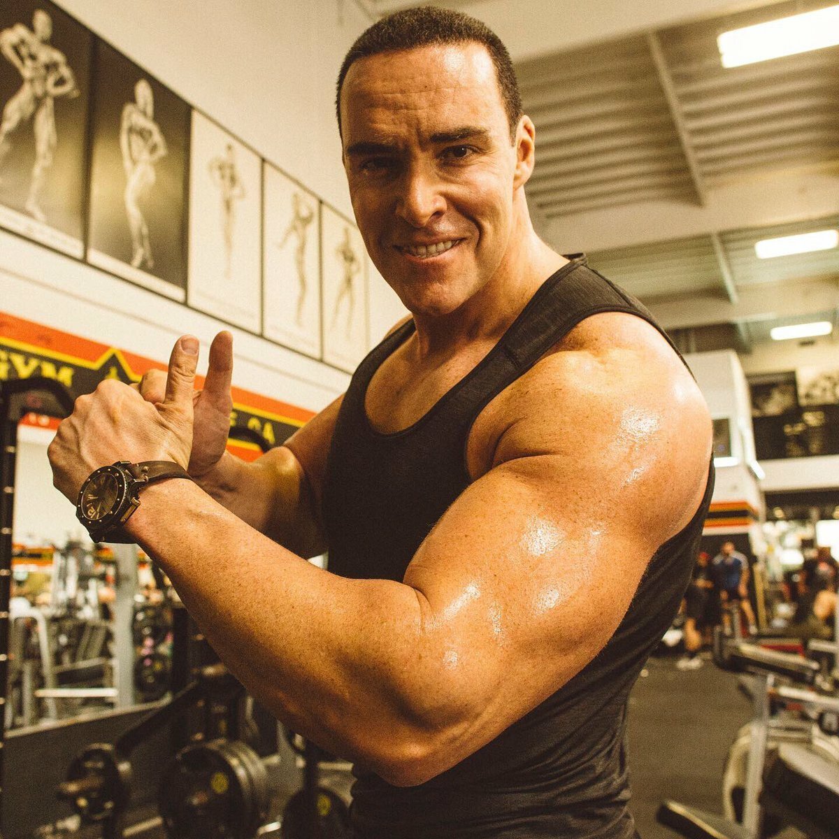 Александр Невский Курицын