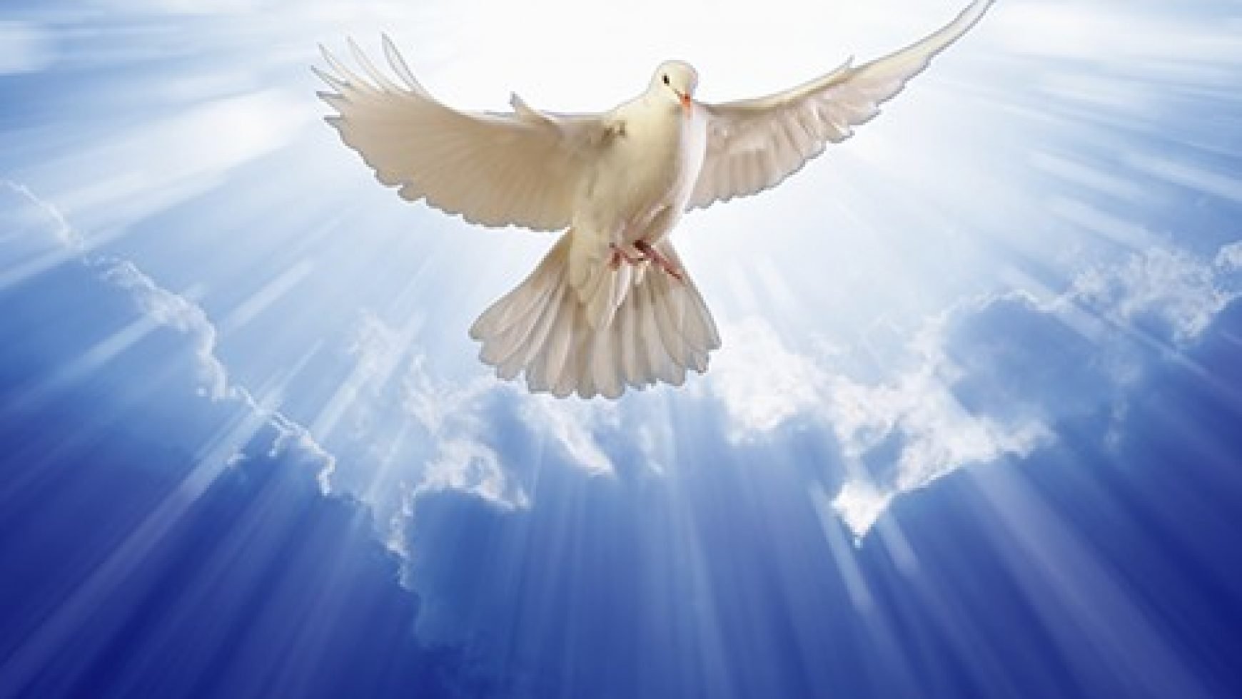Спас святой дух. Бог дух Святой голубь. Голубь Святой дух. Святой дух в виде голубя. Голубь символ Святого духа.