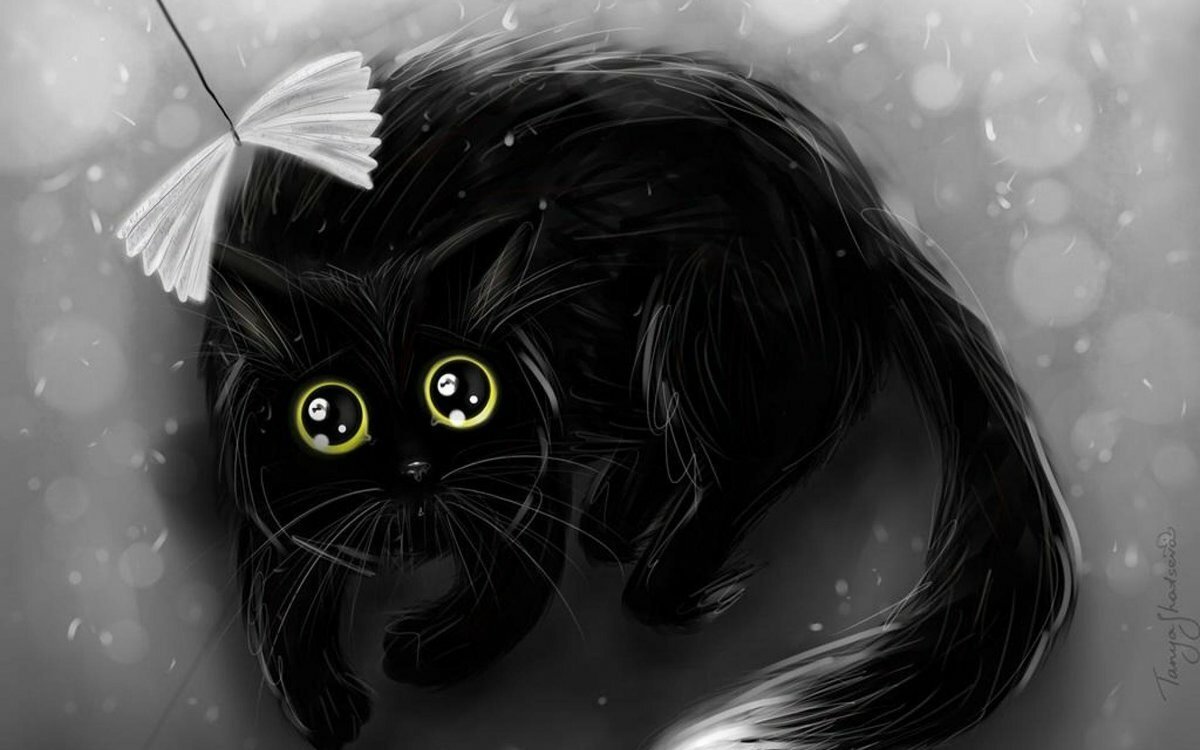 Черный котик арт