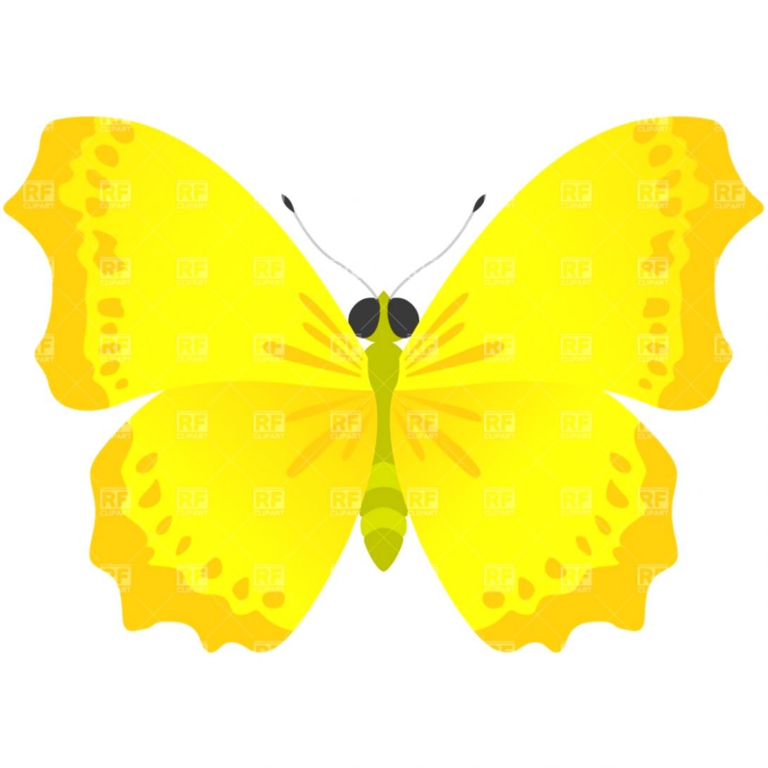 Желтая бабочка для детей