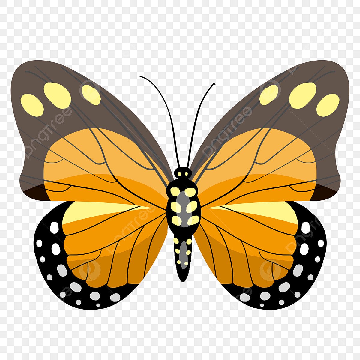 Желтая бабочка картинка для детей