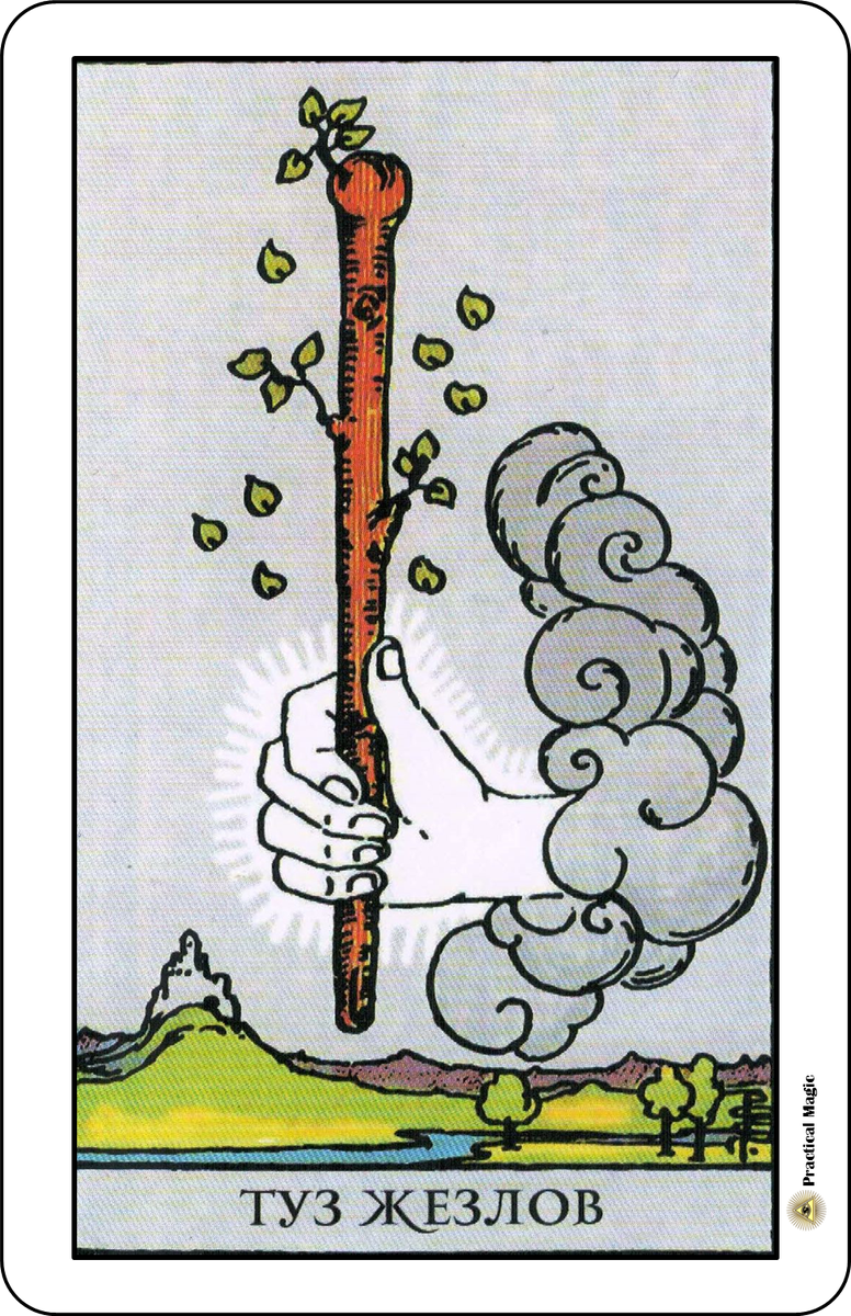 Таро портрет