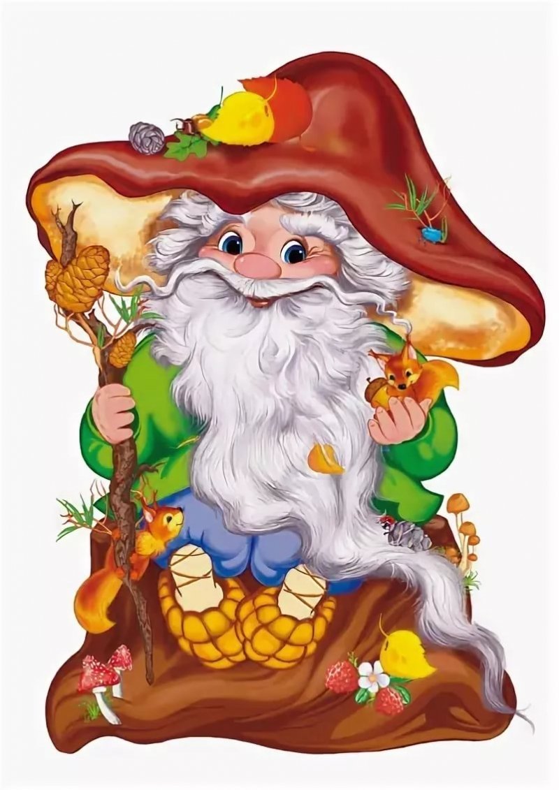 Гриб старичок Боровичок