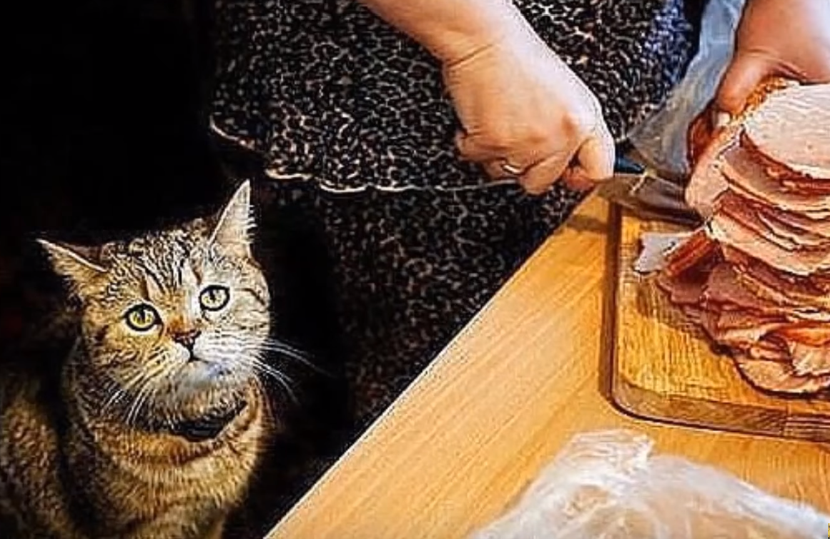 Сладкоежка иллюстрация