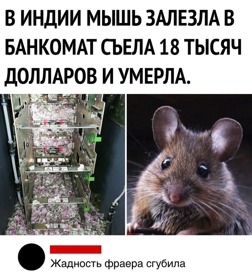 Жадность дети