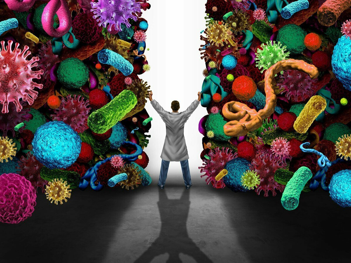 Бактерия Мем