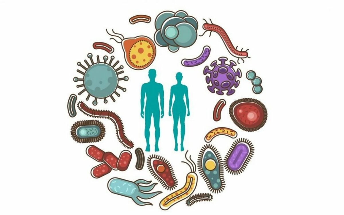 Плакат бактерии