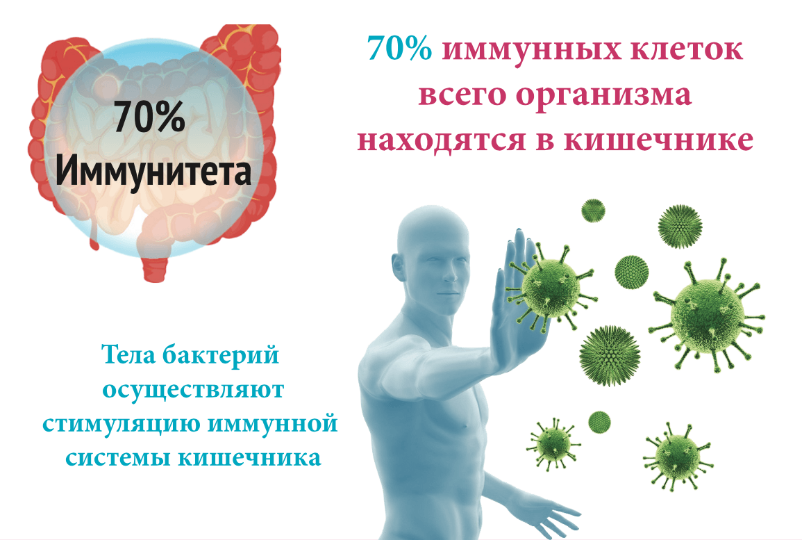 Бактериальные заболевания картинки на белом фоне