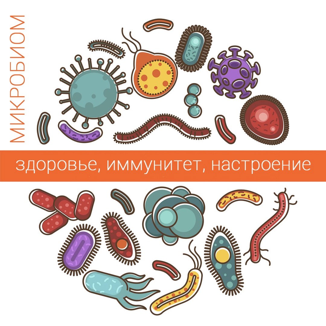 Человек и бактерии картинки