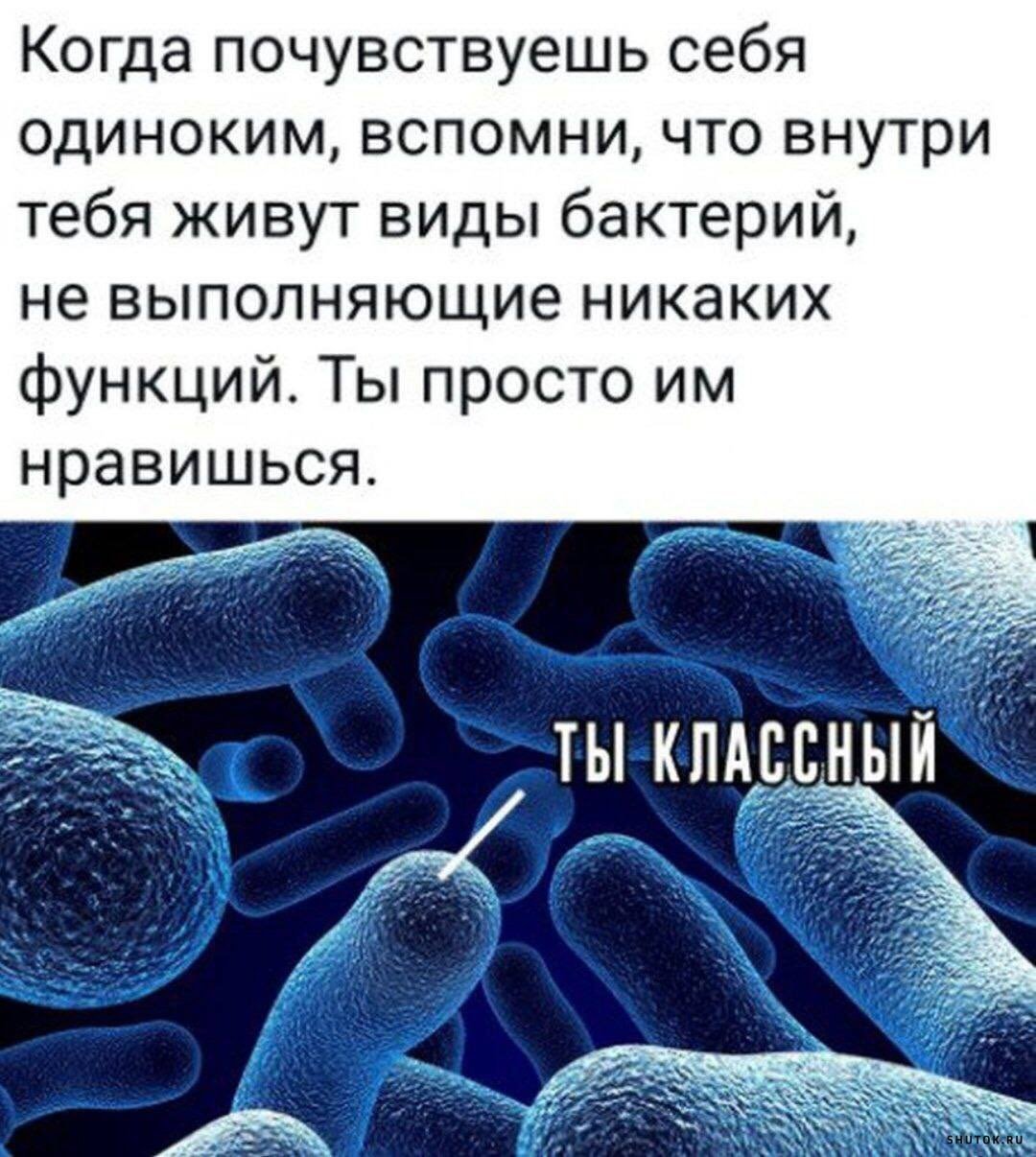 Микрофлора кишечника хорошие и плохие бактерии