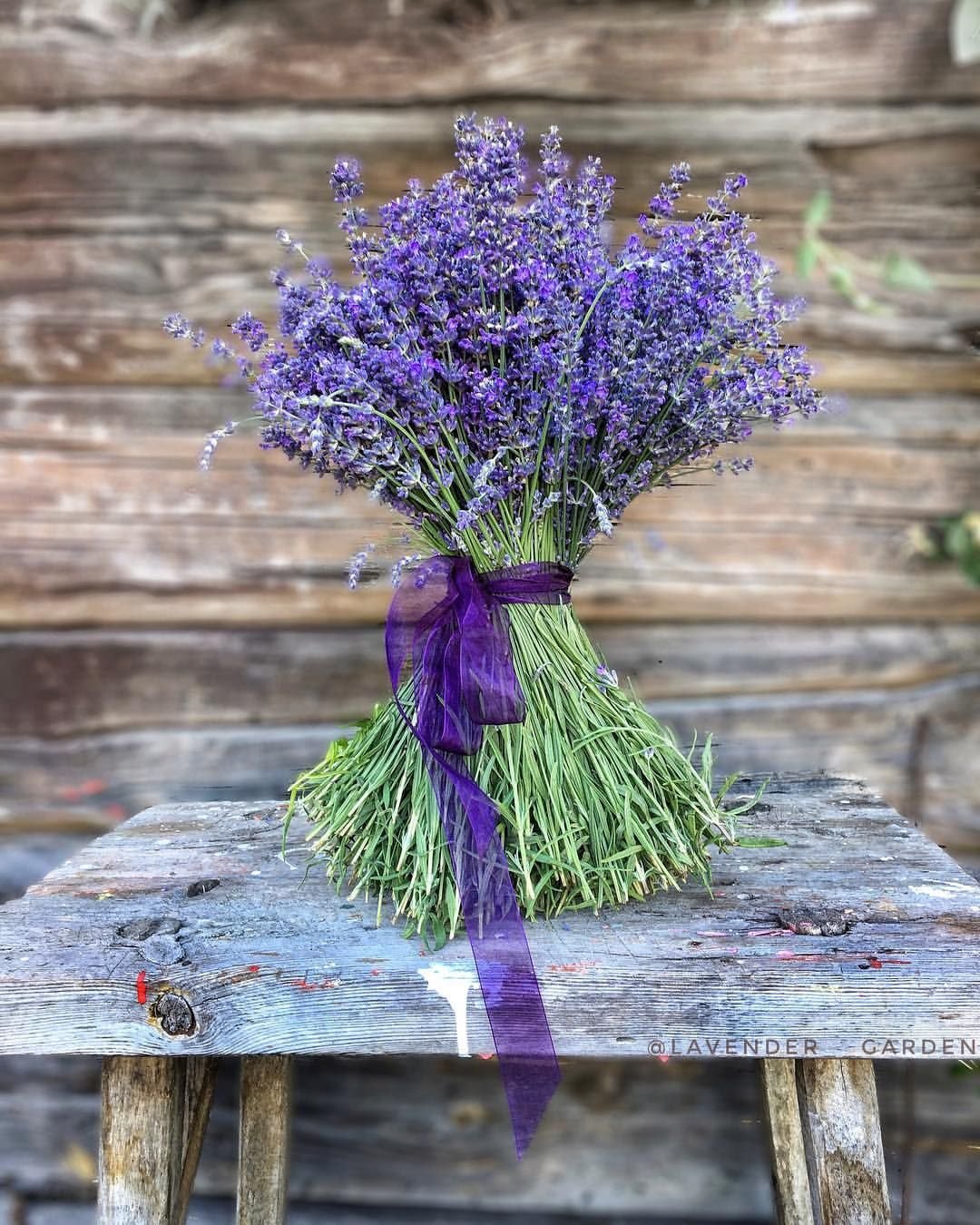 Велосипед с лавандой