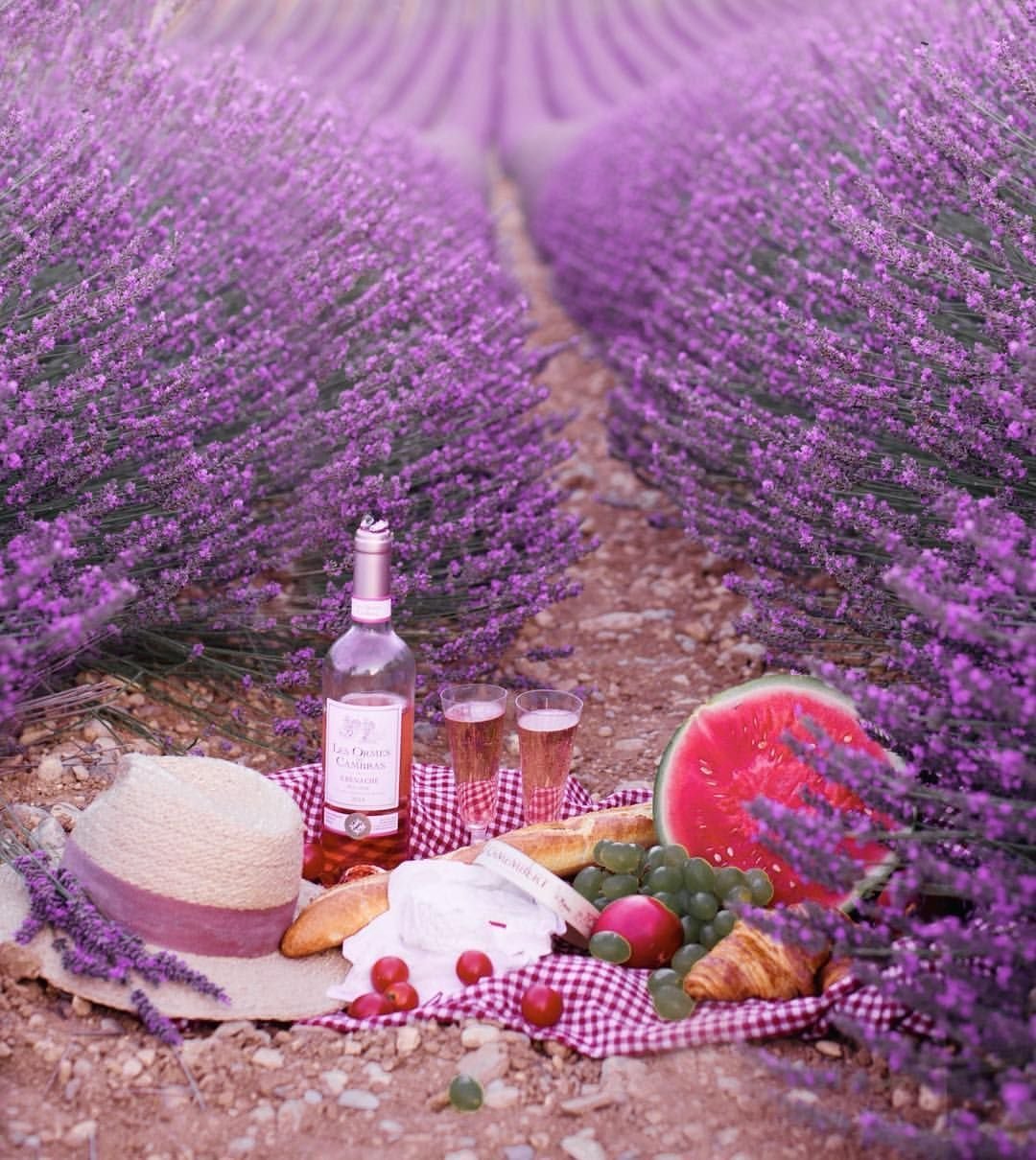 Франция аббатство Сенанк