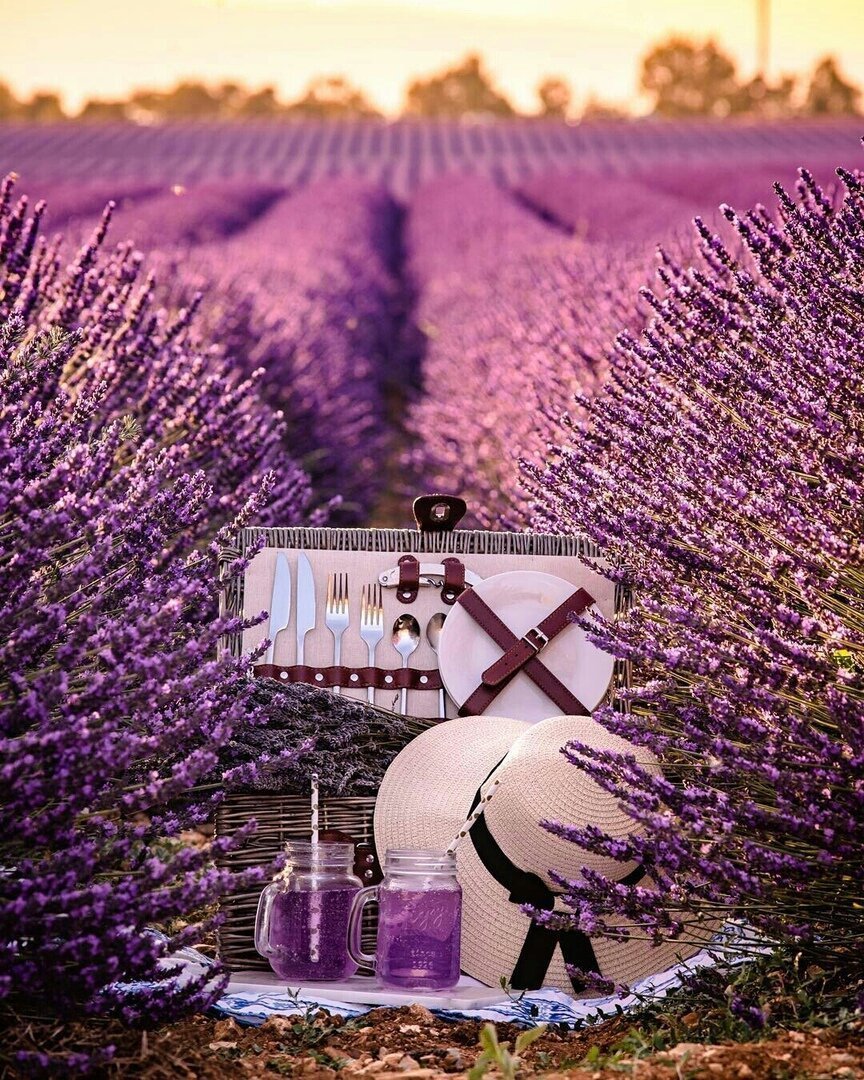 Валенсоль Лавандовые поля