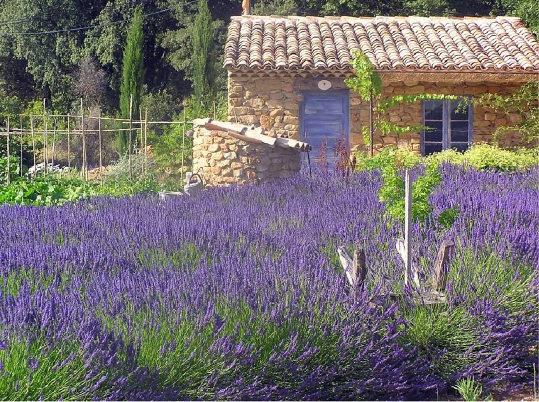 Велосипед Прованс