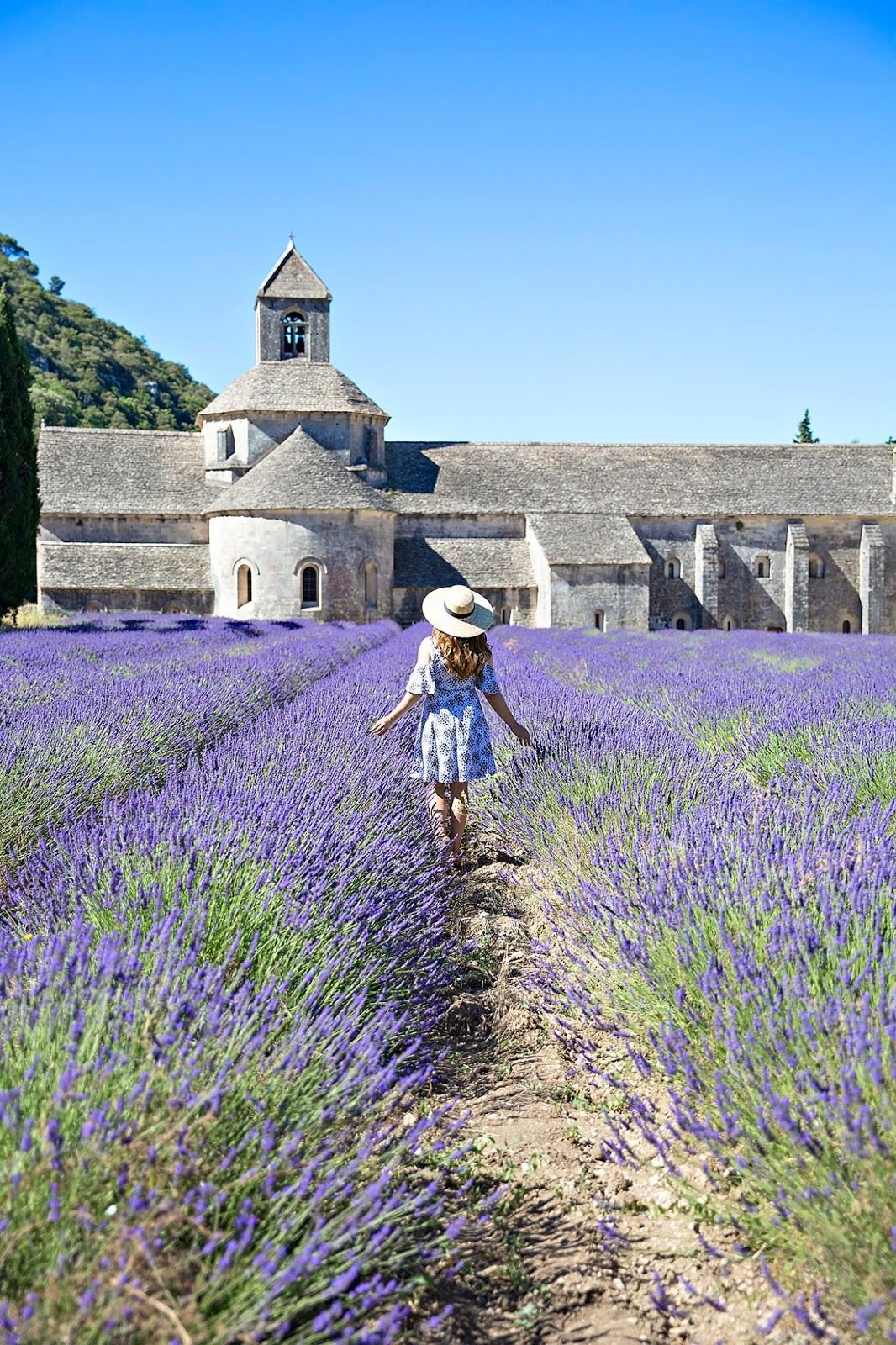 Лаванда Мирей