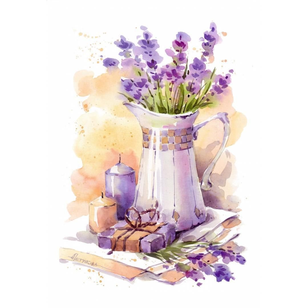 Лаванда узколистная Прованс