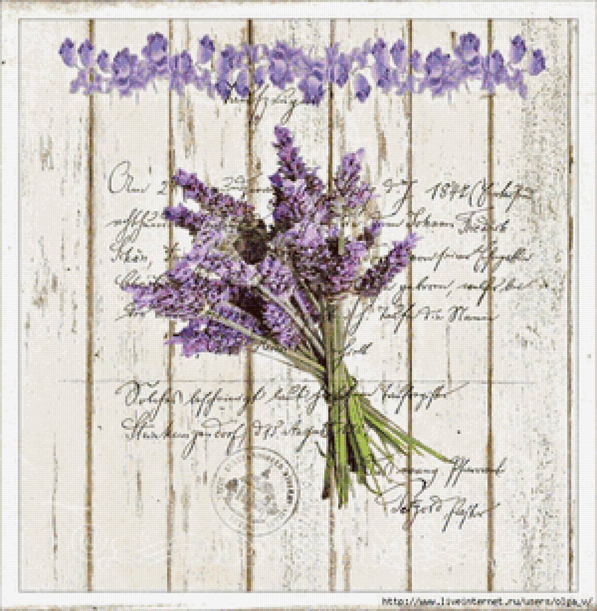 Баннер Лаванда