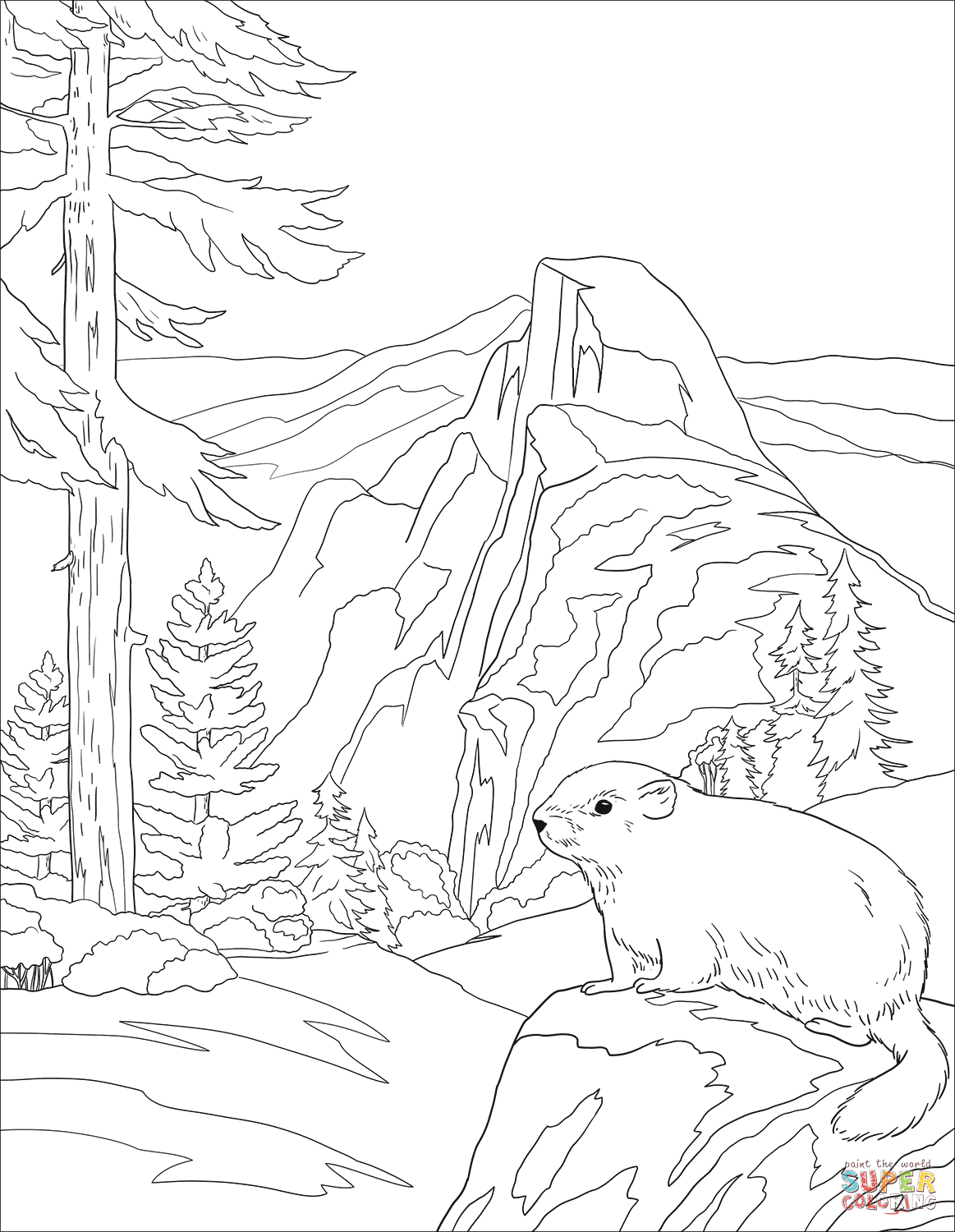 Тайга раскраска