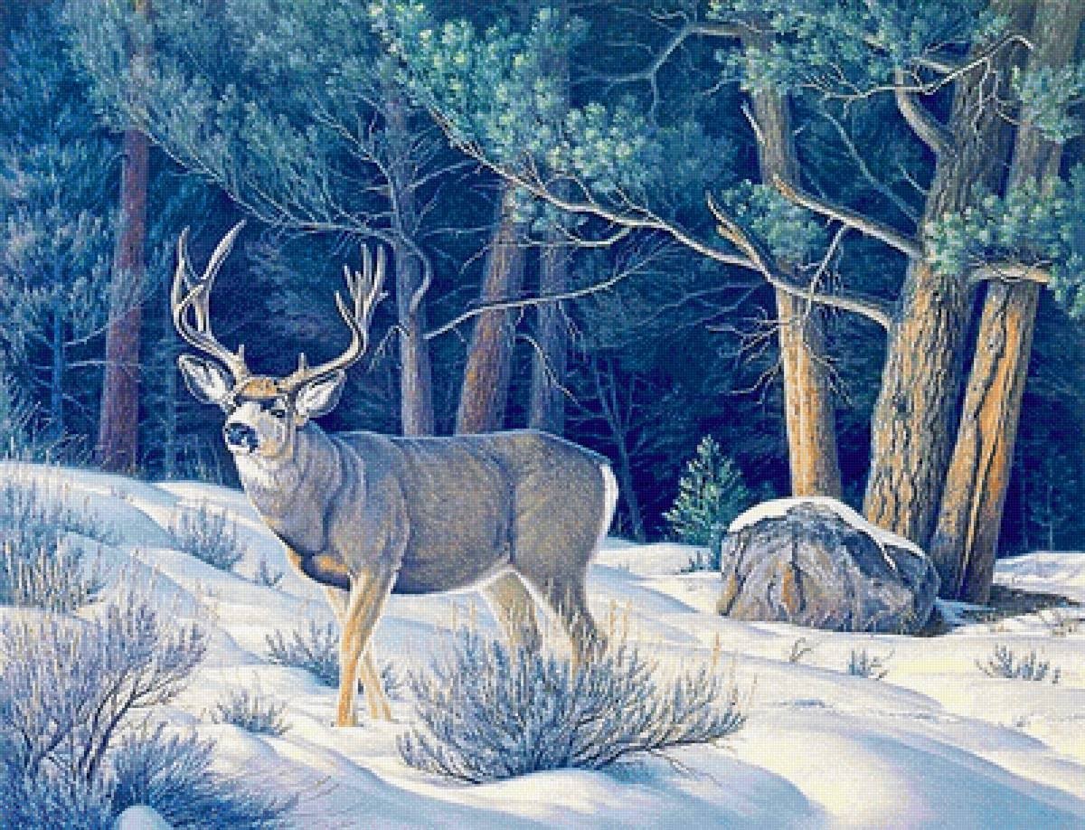 Гравюра лес и горы