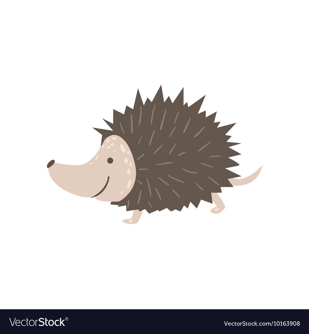 Ежи на белом фоне