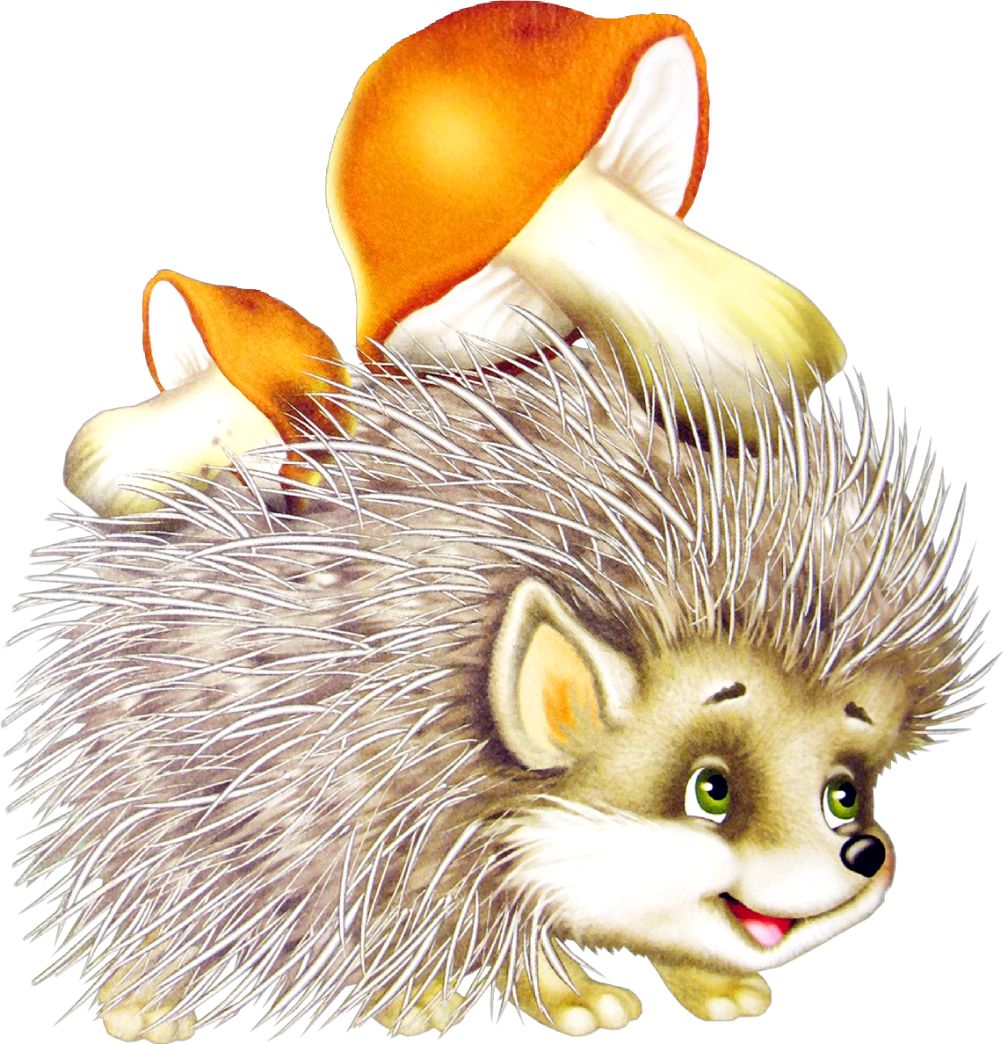 Еж мультяшный на белом фоне