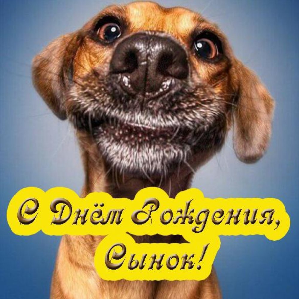 Поздравление с рождением сына