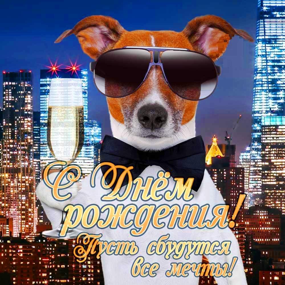 С днём рождения пазрню