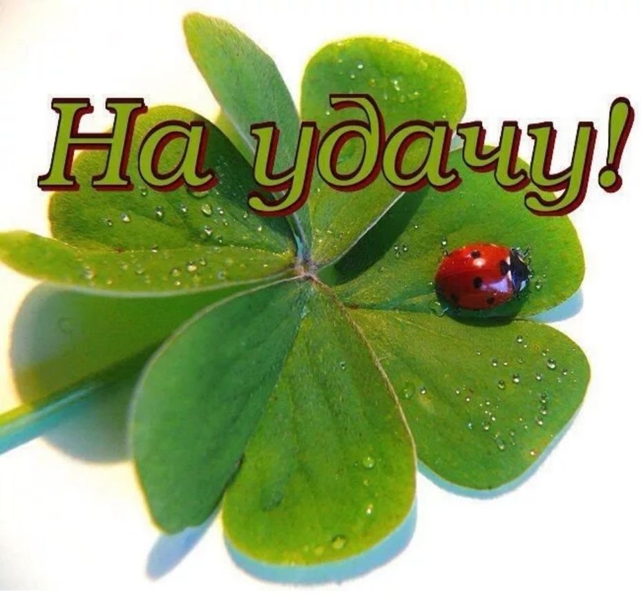 Дачное настроение