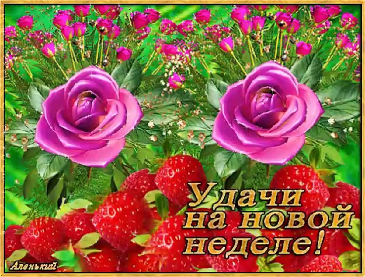 Денежное дерево