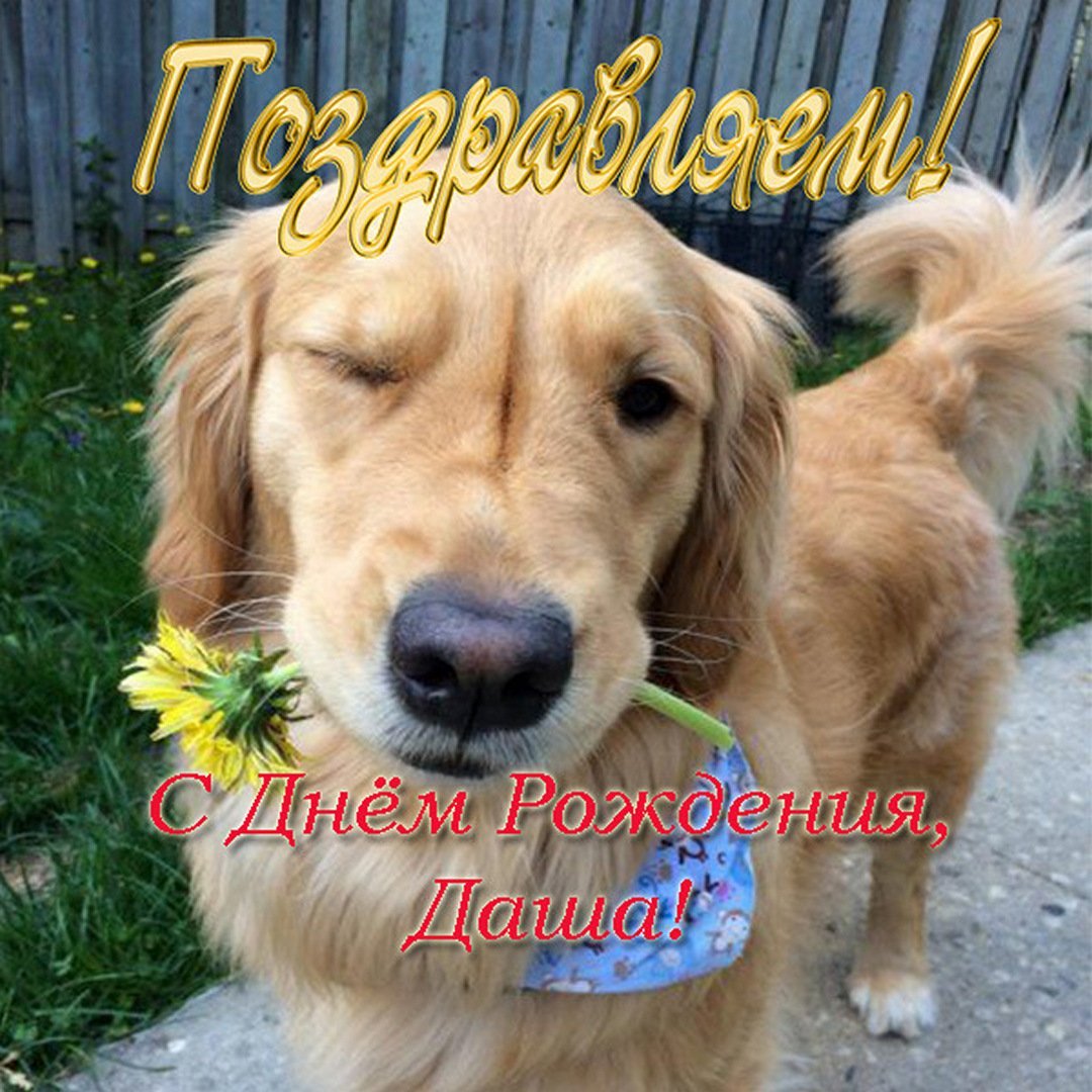 С днём рождения Даша поздравления