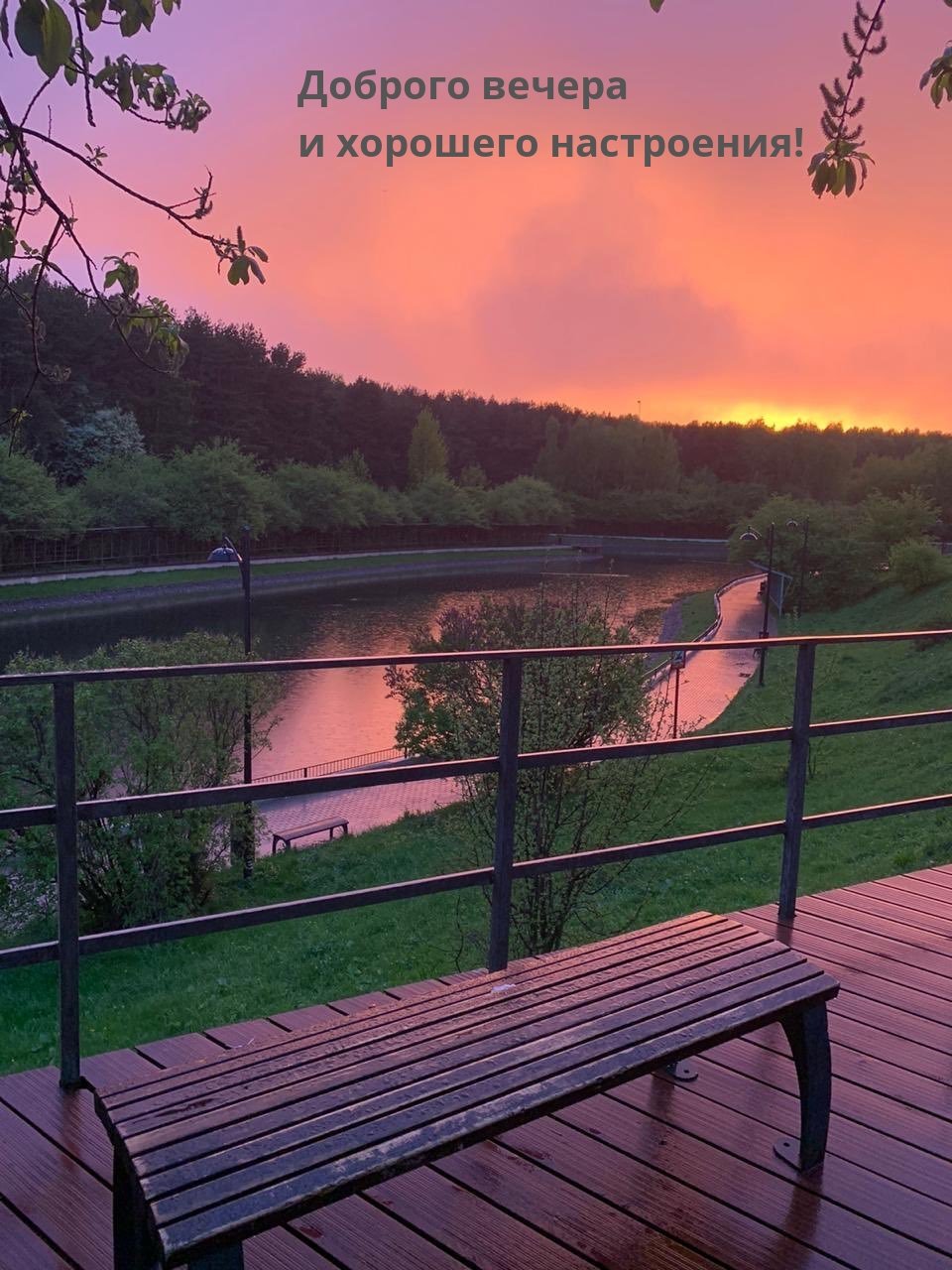 Закат в парке