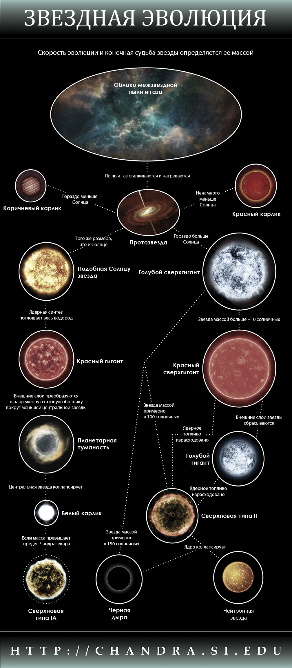 Эволюция звезд картинки