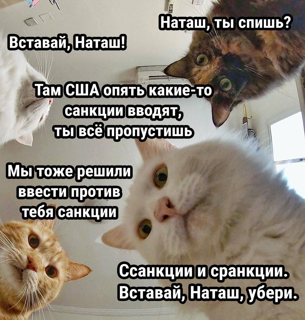 Открытки прикольные для поднятия настроения